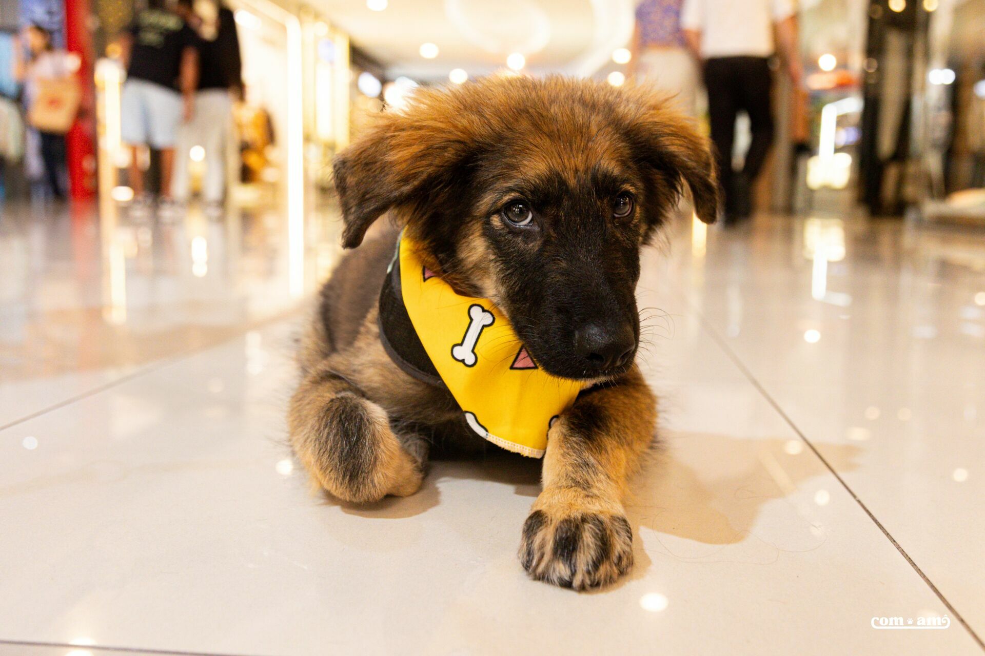 Foto do Sobre de Fotografo Casamento e Filmagem, Araranguá Criciúma, Ferreira e Maciel Fotografia