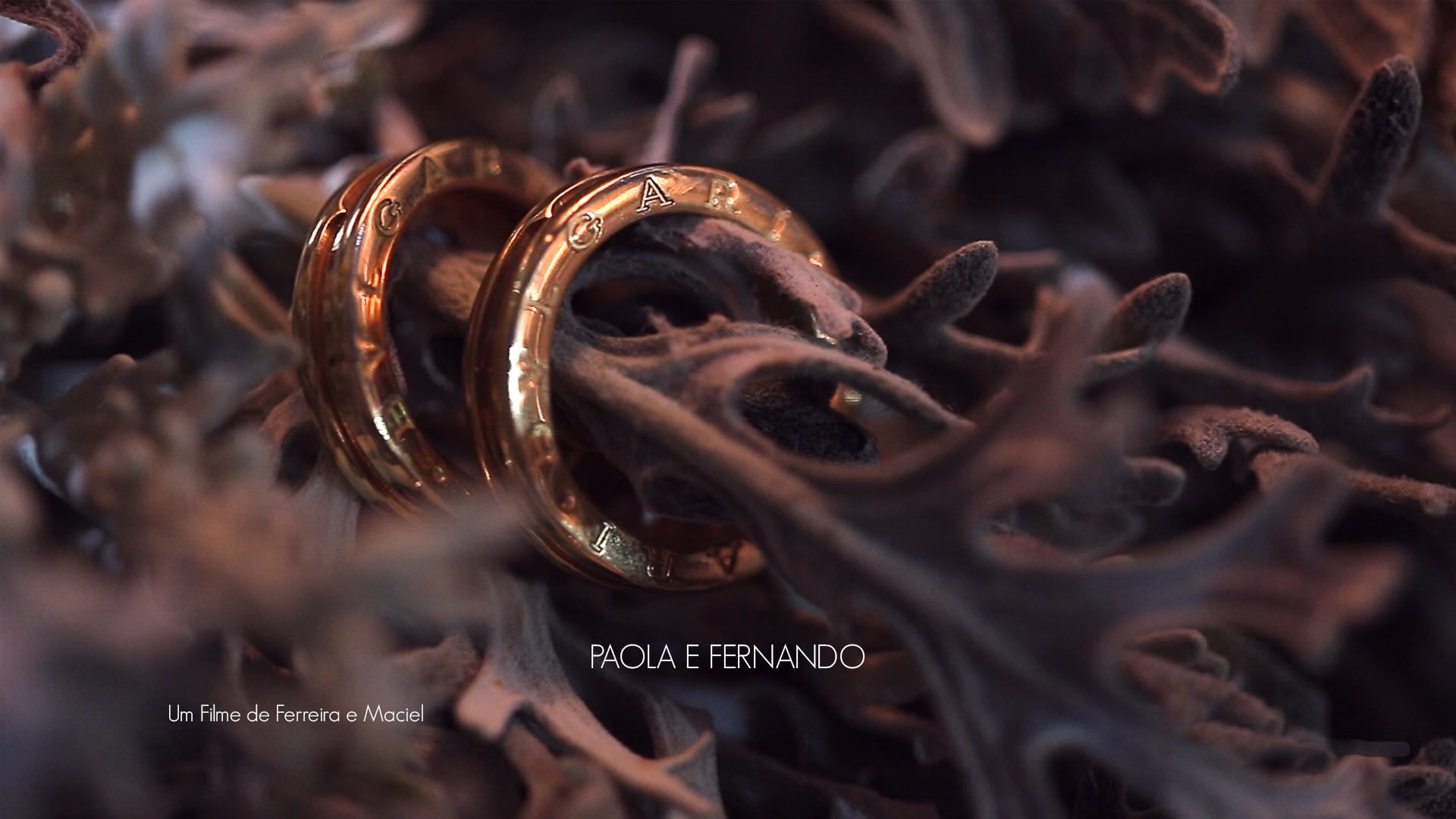 Paola e Fernando - Rio do Sul - SC