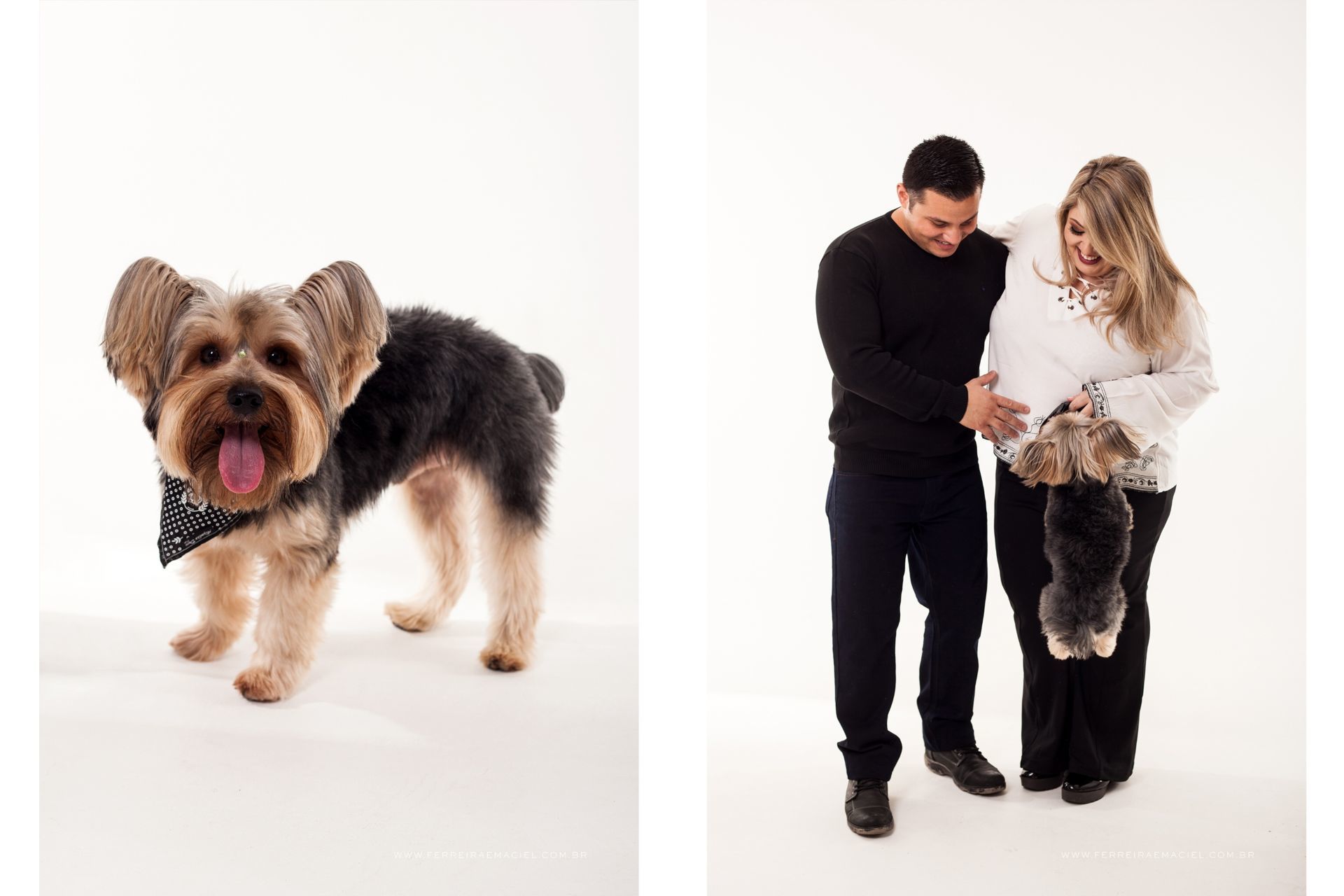 criciúma_gestante_estúdio_sessão_de_fotos_ferreira_e_maciel_fotografa_lígia_ararangua_família_cachorro_menina_mae_menino_0005