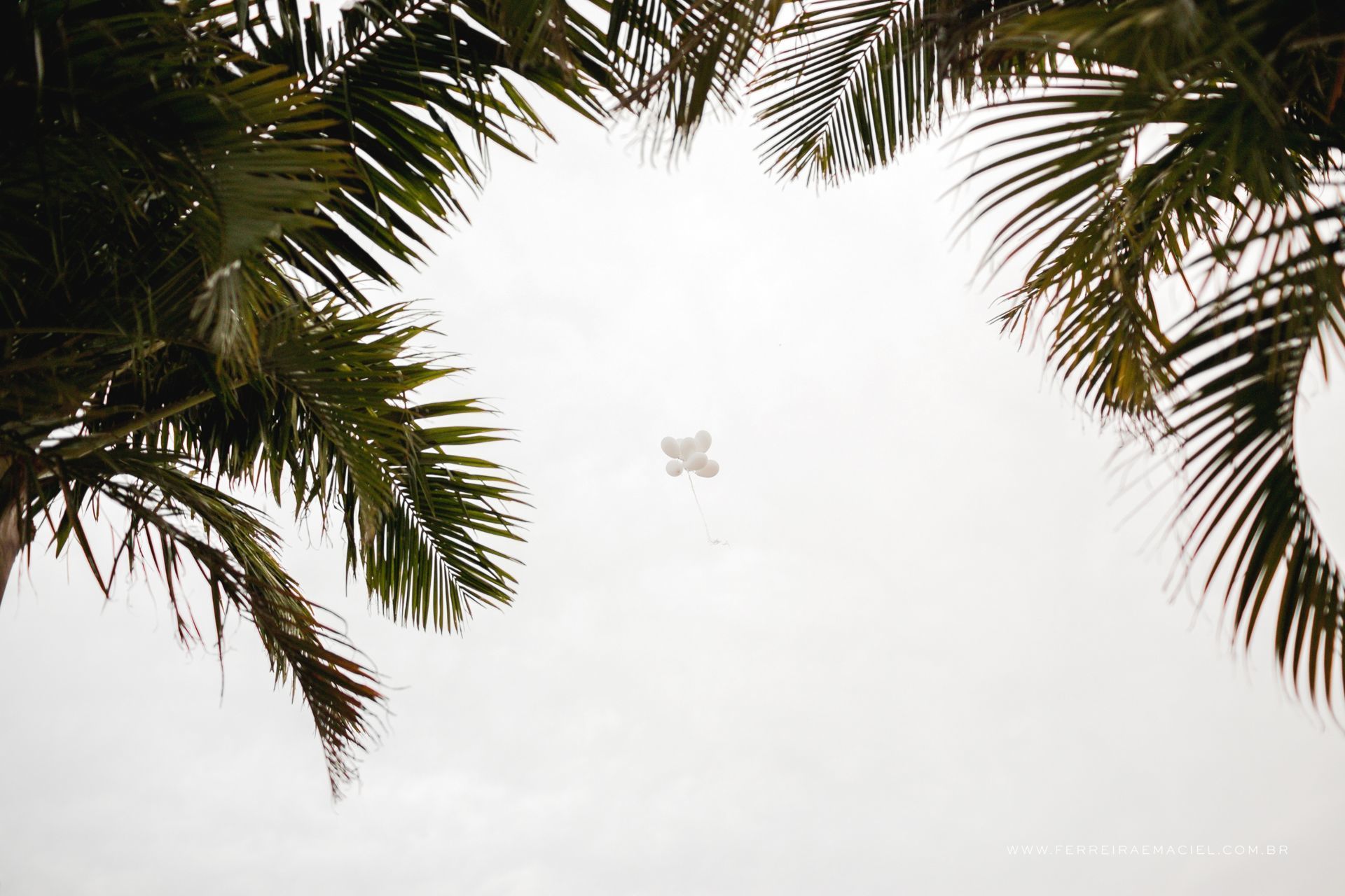 Casamento Bruna e Tiago - Sítio do Cássio - Balneário Gaivota - SC
