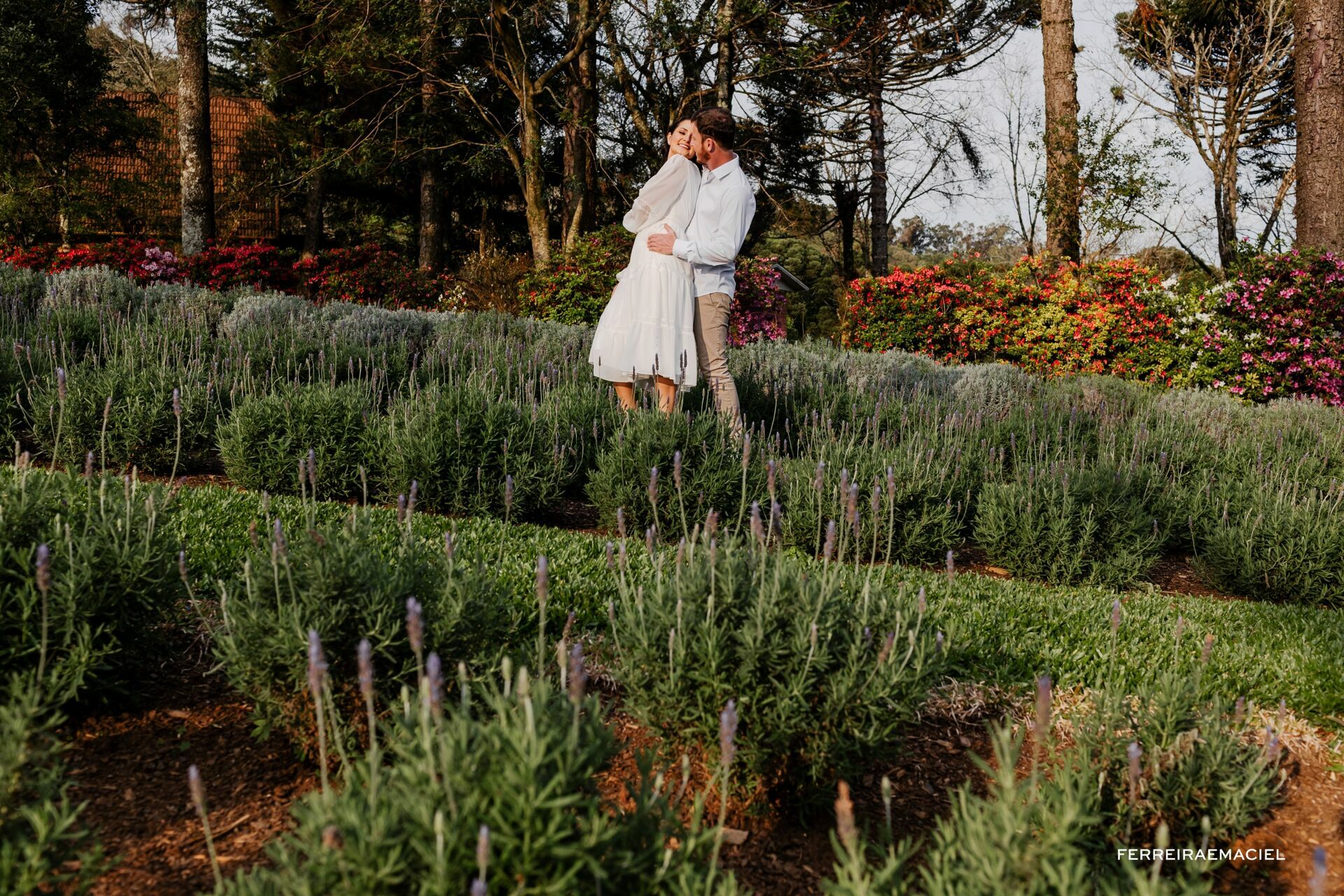 Foto Fotos de casal no Le Jardin Parque de Lavanda - Pre-wedding em Gramado e Canela - RS - Ensaio fotogrÃƒÆ’Ã†â€™Ãƒâ€ Ã¢â‚¬â„¢ÃƒÆ’Ã¢â‚¬ ÃƒÂ¢Ã¢â€šÂ¬Ã¢â€žÂ¢ÃƒÆ’Ã†â€™ÃƒÂ¢Ã¢â€šÂ¬ ÃƒÆ’Ã‚Â¢ÃƒÂ¢Ã¢â‚¬Å¡Ã‚Â¬ÃƒÂ¢Ã¢â‚¬Å¾Ã‚Â¢ÃƒÆ’Ã†â€™Ãƒâ€ Ã¢â‚¬â„¢ÃƒÆ’Ã‚Â¢ÃƒÂ¢Ã¢â‚¬Å¡Ã‚Â¬Ãƒâ€¦Ã‚Â¡ÃƒÆ’Ã†â€™ÃƒÂ¢Ã¢â€šÂ¬Ã…Â¡ÃƒÆ’Ã¢â‚¬Å¡Ãƒâ€šÃ‚Â¡fico na Rua Torta - Camila e Douglas - Imagem 8
