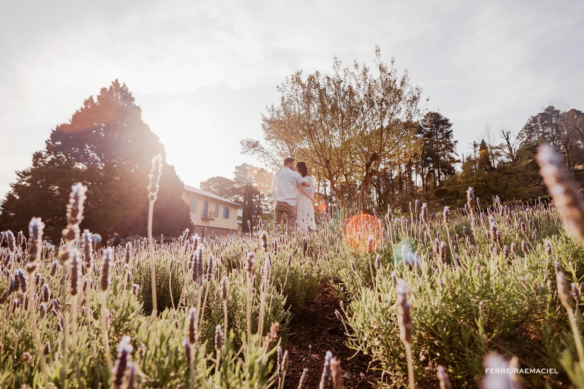 Foto Fotos de casal no Le Jardin Parque de Lavanda - Pre-wedding em Gramado e Canela - RS - Ensaio fotogrÃƒÆ’Ã†â€™Ãƒâ€ Ã¢â‚¬â„¢ÃƒÆ’Ã¢â‚¬ ÃƒÂ¢Ã¢â€šÂ¬Ã¢â€žÂ¢ÃƒÆ’Ã†â€™ÃƒÂ¢Ã¢â€šÂ¬ ÃƒÆ’Ã‚Â¢ÃƒÂ¢Ã¢â‚¬Å¡Ã‚Â¬ÃƒÂ¢Ã¢â‚¬Å¾Ã‚Â¢ÃƒÆ’Ã†â€™Ãƒâ€ Ã¢â‚¬â„¢ÃƒÆ’Ã‚Â¢ÃƒÂ¢Ã¢â‚¬Å¡Ã‚Â¬Ãƒâ€¦Ã‚Â¡ÃƒÆ’Ã†â€™ÃƒÂ¢Ã¢â€šÂ¬Ã…Â¡ÃƒÆ’Ã¢â‚¬Å¡Ãƒâ€šÃ‚Â¡fico na Rua Torta - Camila e Douglas - Imagem 11