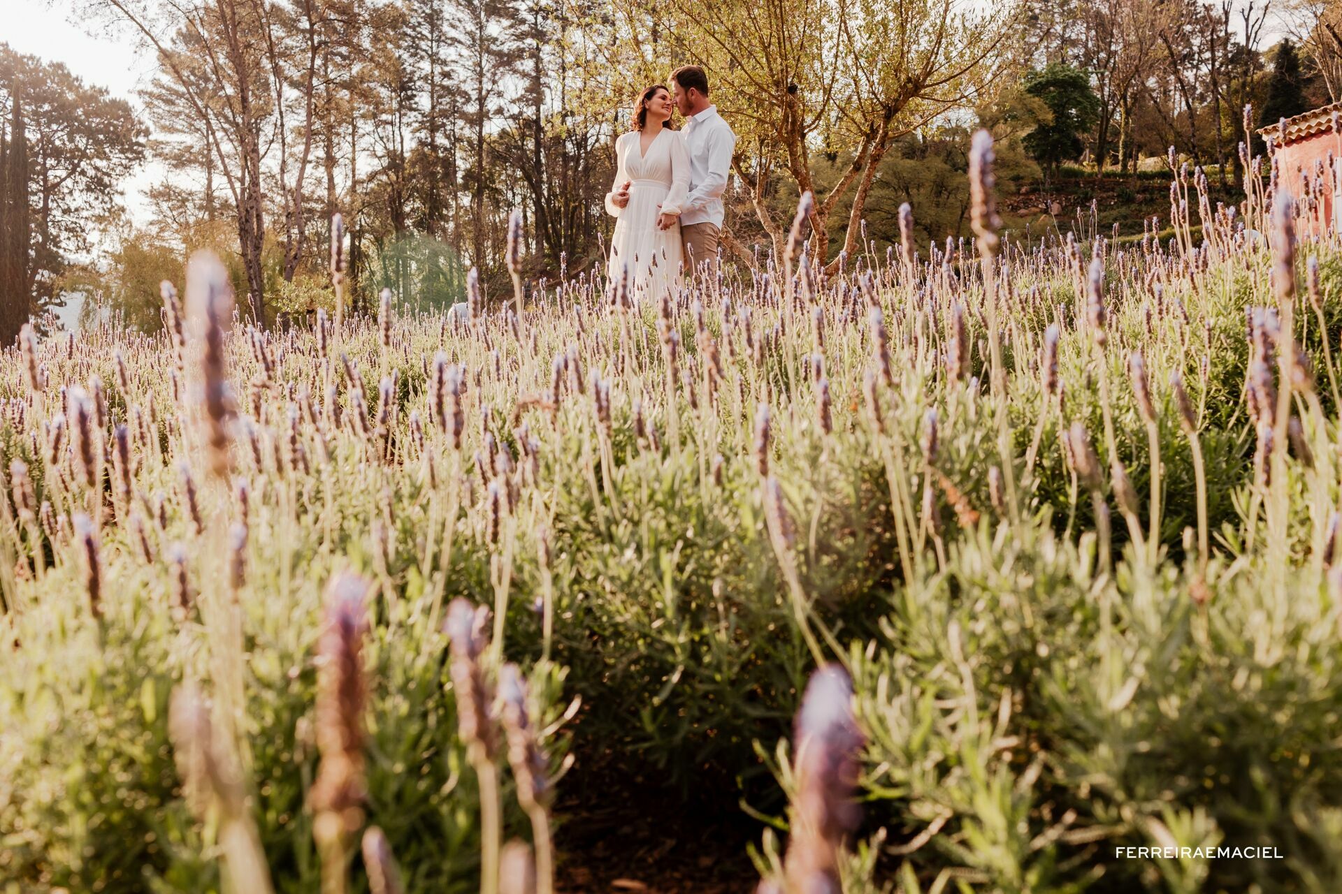 Foto Fotos de casal no Le Jardin Parque de Lavanda - Pre-wedding em Gramado e Canela - RS - Ensaio fotogrÃƒÆ’Ã†â€™Ãƒâ€ Ã¢â‚¬â„¢ÃƒÆ’Ã¢â‚¬ ÃƒÂ¢Ã¢â€šÂ¬Ã¢â€žÂ¢ÃƒÆ’Ã†â€™ÃƒÂ¢Ã¢â€šÂ¬ ÃƒÆ’Ã‚Â¢ÃƒÂ¢Ã¢â‚¬Å¡Ã‚Â¬ÃƒÂ¢Ã¢â‚¬Å¾Ã‚Â¢ÃƒÆ’Ã†â€™Ãƒâ€ Ã¢â‚¬â„¢ÃƒÆ’Ã‚Â¢ÃƒÂ¢Ã¢â‚¬Å¡Ã‚Â¬Ãƒâ€¦Ã‚Â¡ÃƒÆ’Ã†â€™ÃƒÂ¢Ã¢â€šÂ¬Ã…Â¡ÃƒÆ’Ã¢â‚¬Å¡Ãƒâ€šÃ‚Â¡fico na Rua Torta - Camila e Douglas - Imagem 16