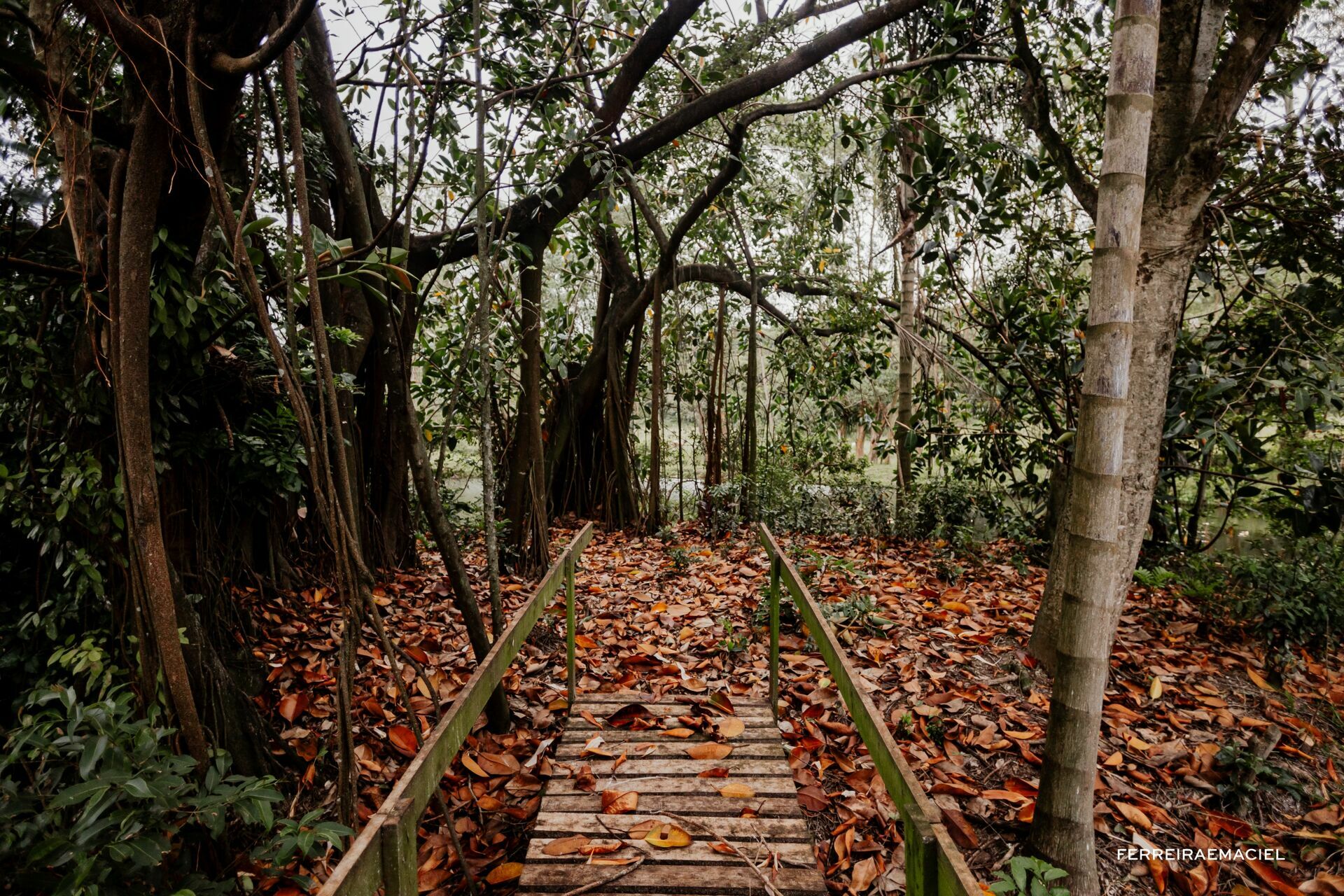 Foto Ensaio fotográfico de formatura - Design - UNISATC - Monise Possamai - Araranguá - SC - Imagem 20
