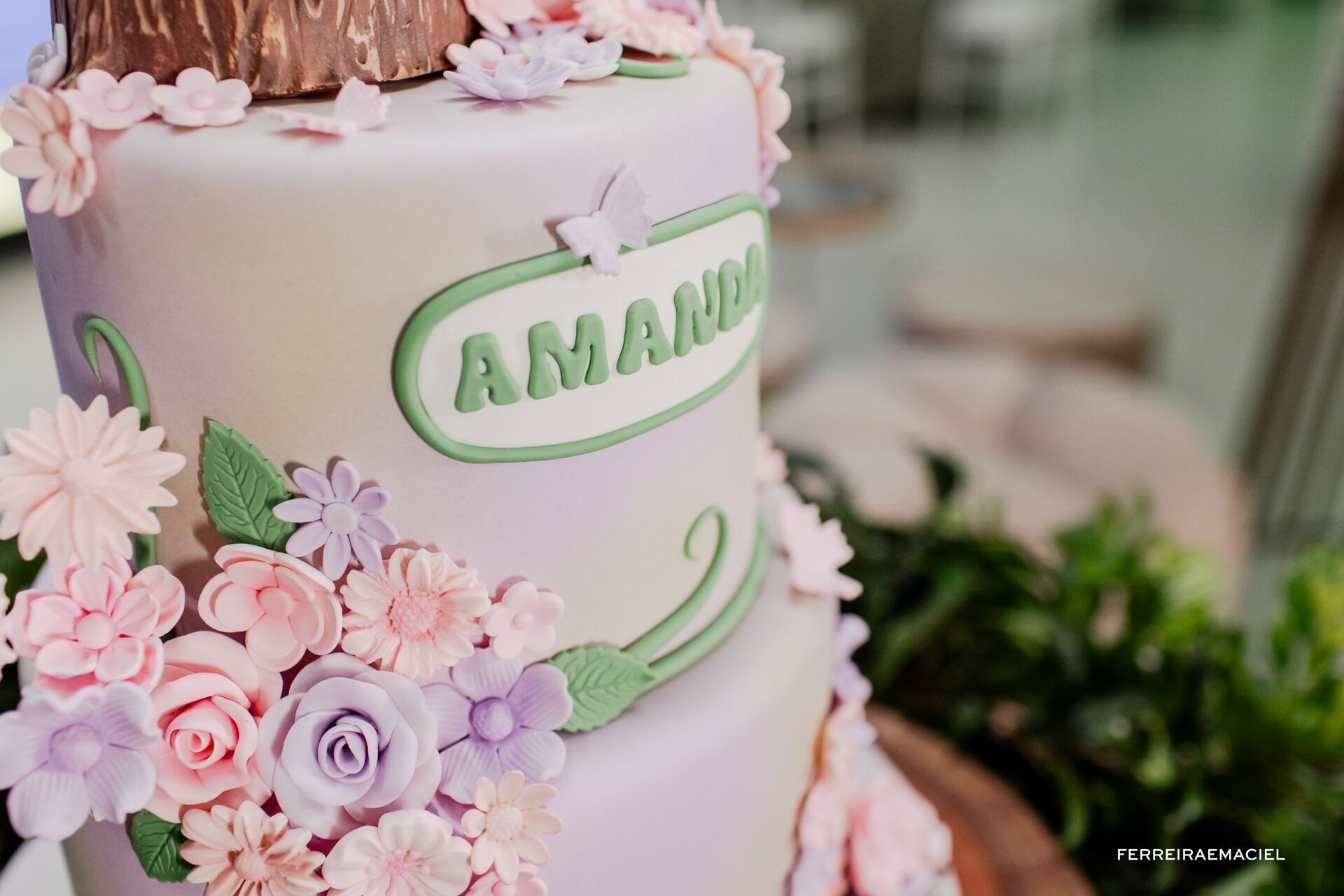 Foto Aniversário Amanda - Primeiro Aninho - Sítio do Cassio - Balneário Gaivota - SC - Imagem 34