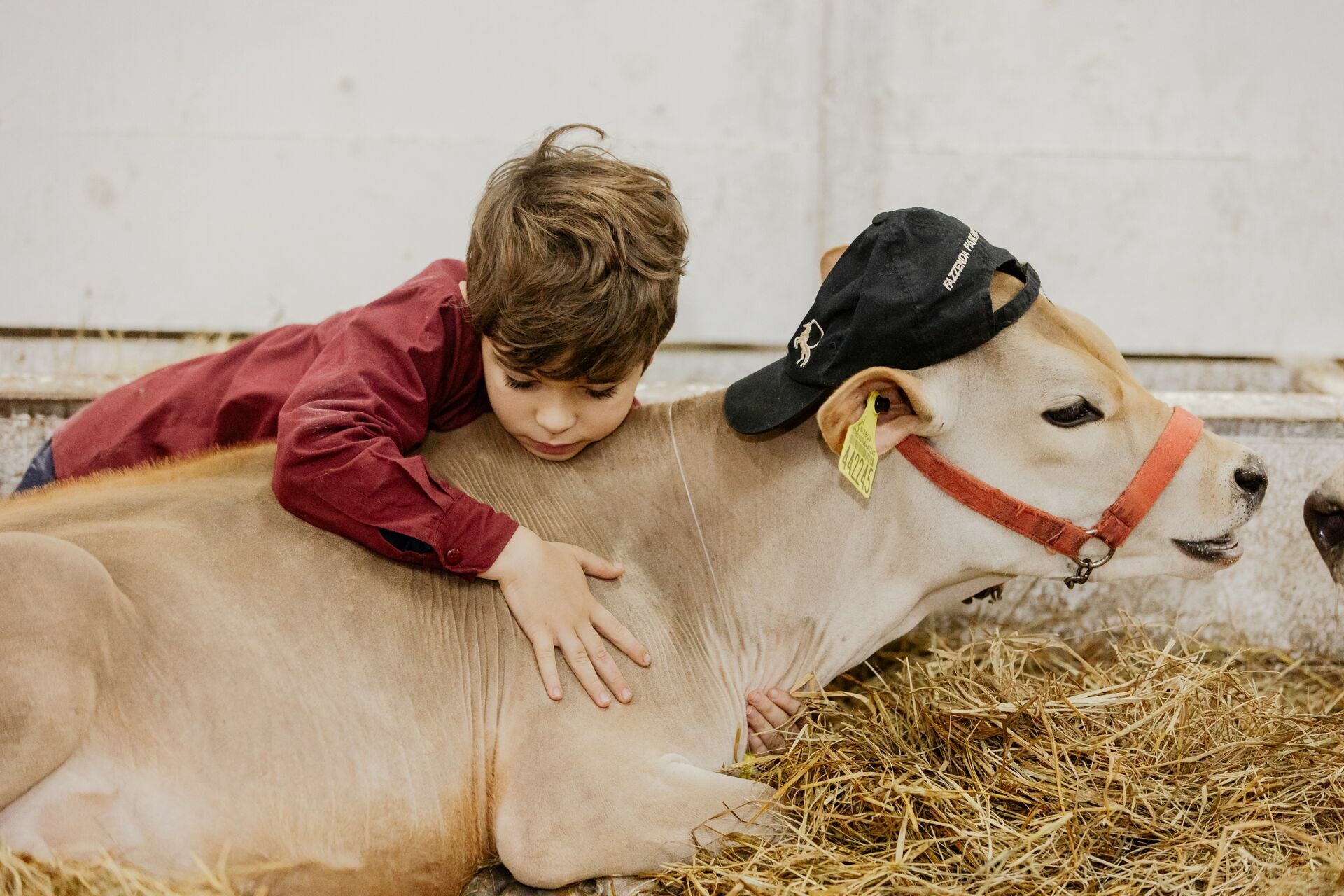Foto Fotografia publicitÃ¡ria - Scania na Feagro - BraÃ§o do Norte - SC - Imagem 43