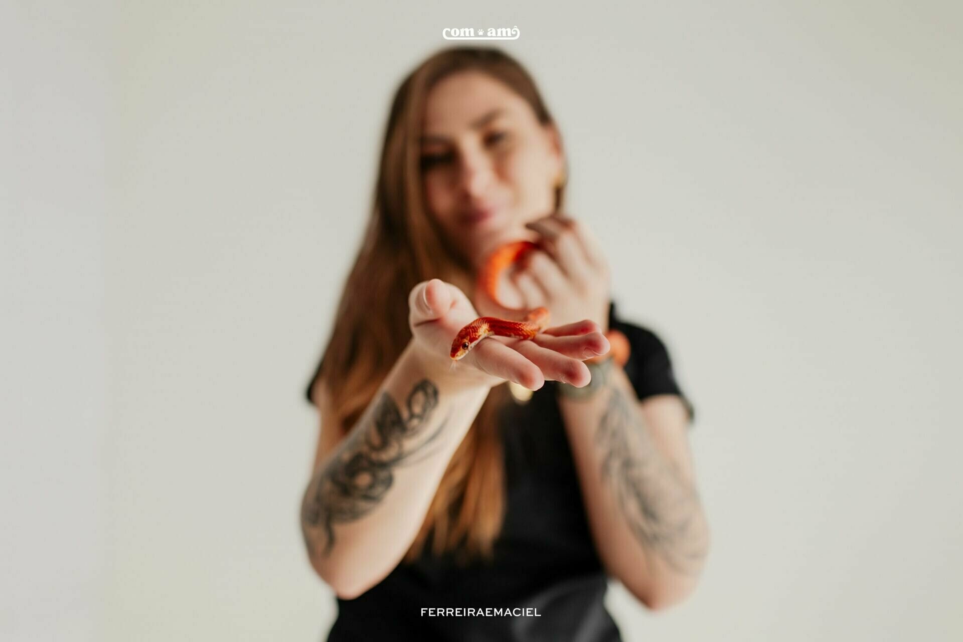 Fotografia de animais para o projeto Com Amô – Estúdio Ferreira e Maciel | Araranguá-SC