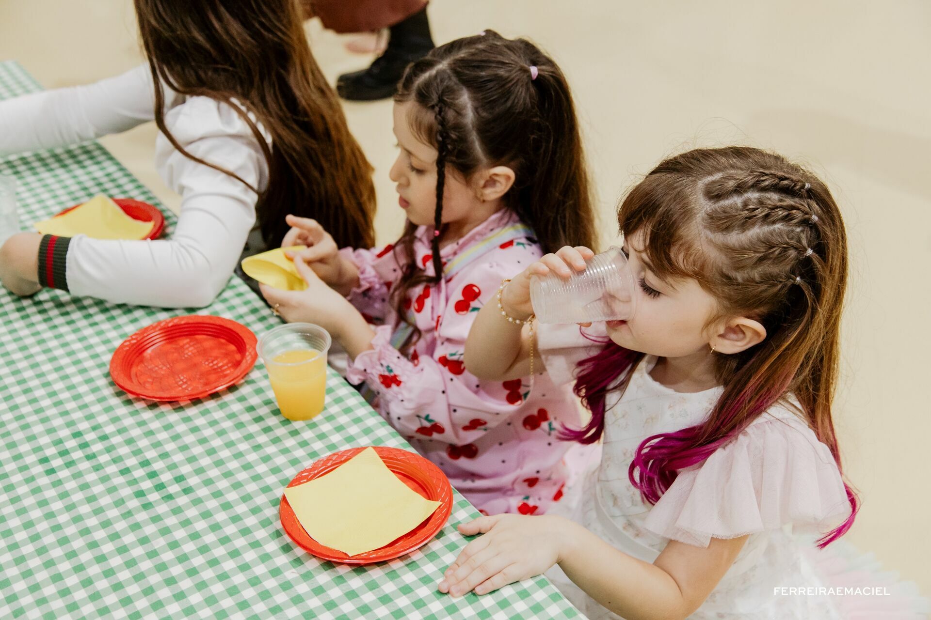 Foto Fotografia de Aniversário Infantil – Helena – 5 Anos – Allegra Park – Araranguá – SC Foto Fotografia de Aniversário Infantil – Helena – 5 Anos – Allegra Park – Araranguá – SC - Imagem 31