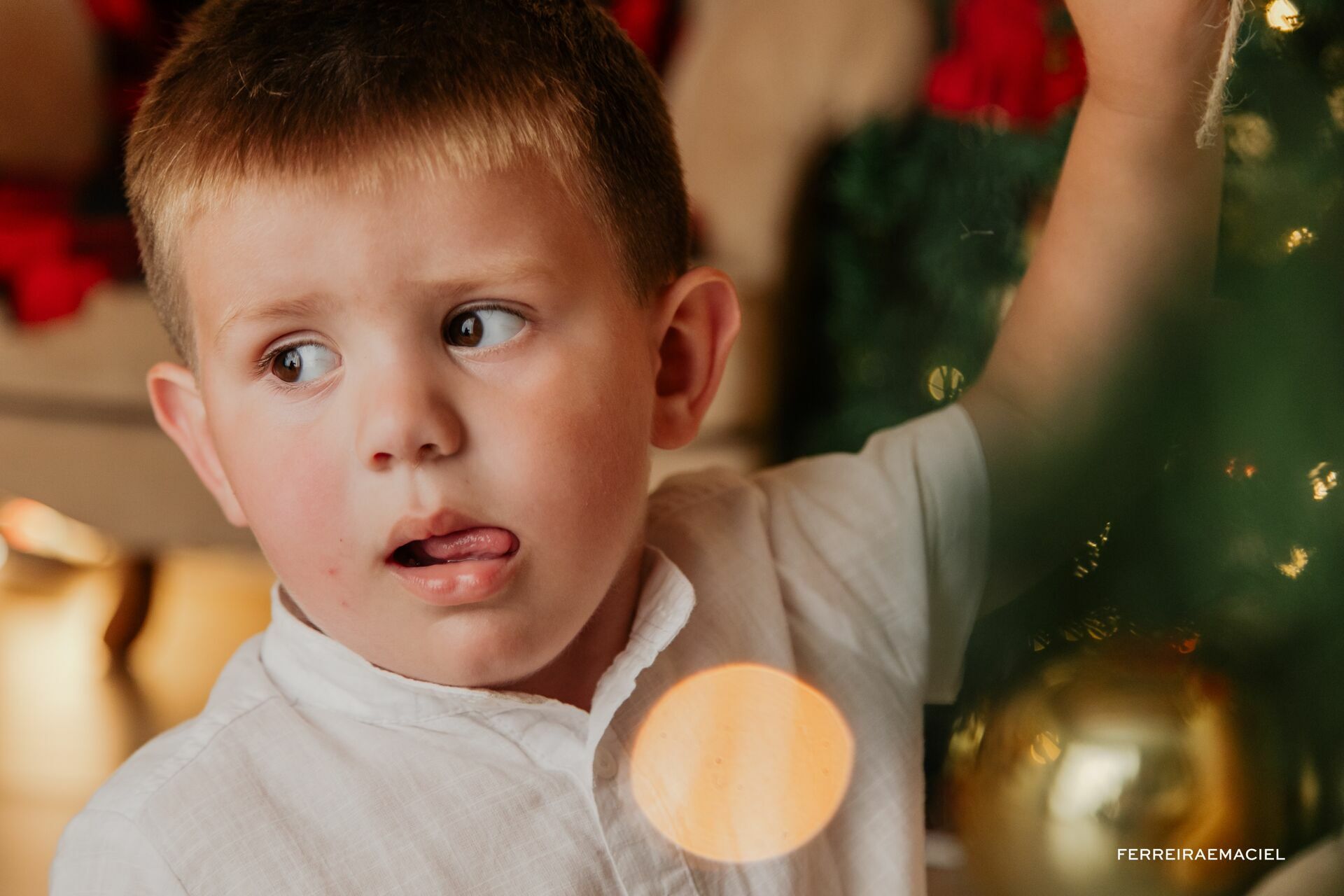 Foto Destinatário Papai Noel - Especial de Natal 2025 - Fotógrafo de estúdio em Araranguá - Cenário temático para fotografar - Araranguá - SC Foto Destinatário Papai Noel - Especial de Natal 2025 - Fotógrafo de estúdio em Araranguá - Cenário temático para fotografar - Araranguá - SC - Imagem 191