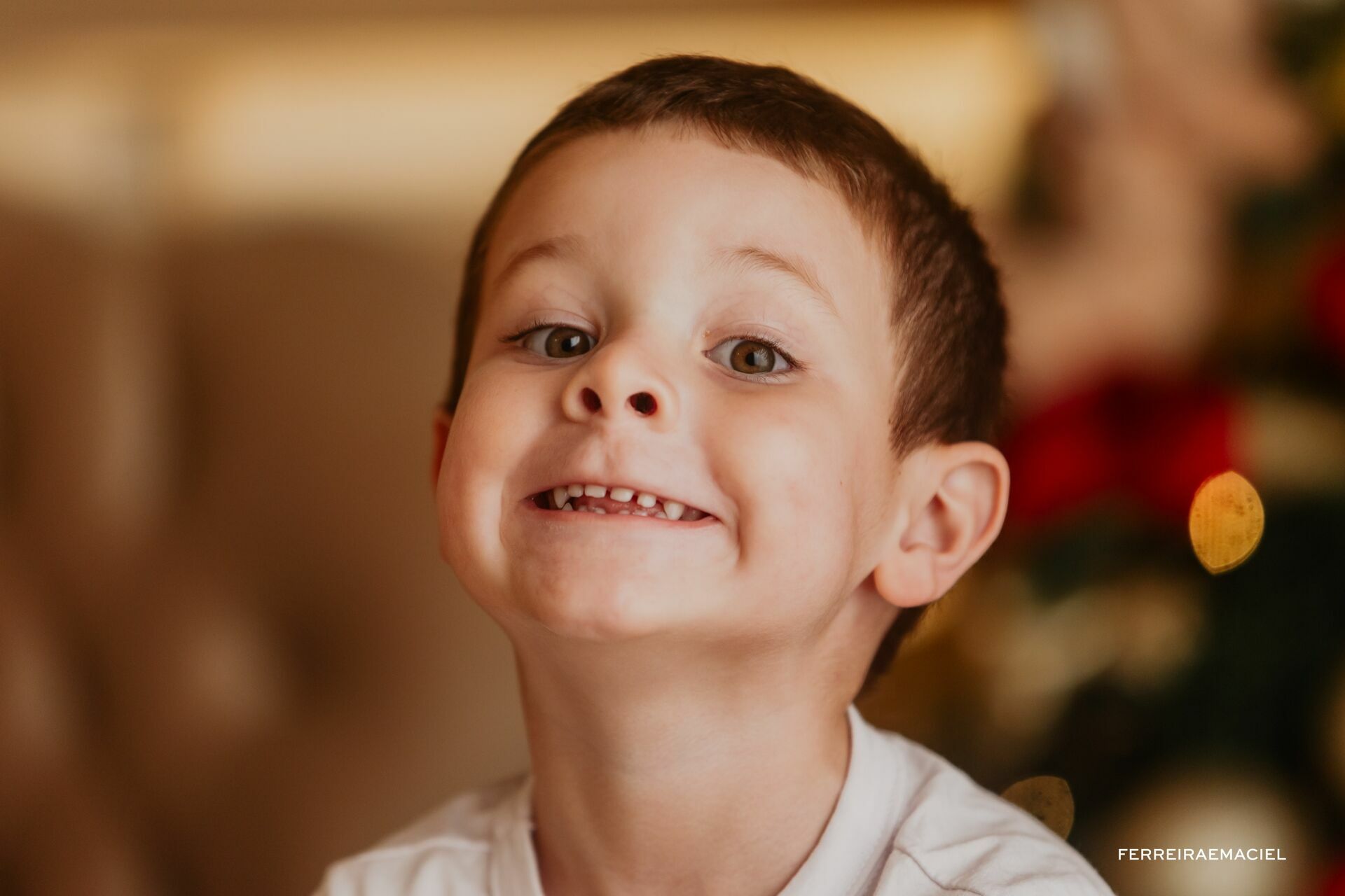 Foto Destinatário Papai Noel - Especial de Natal 2025 - Fotógrafo de estúdio em Araranguá - Cenário temático para fotografar - Araranguá - SC Foto Destinatário Papai Noel - Especial de Natal 2025 - Fotógrafo de estúdio em Araranguá - Cenário temático para fotografar - Araranguá - SC - Imagem 202