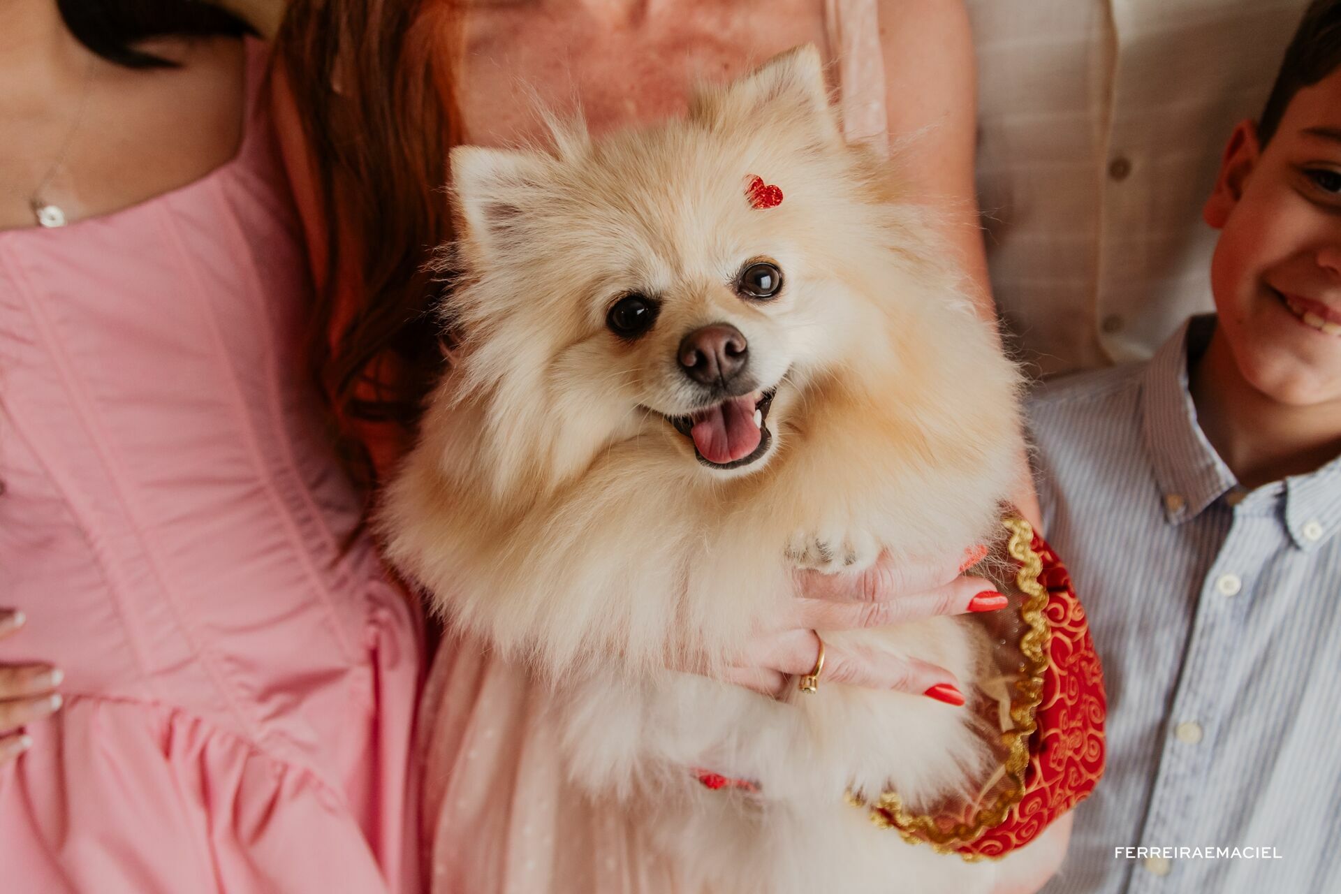 Foto Destinatário Papai Noel - Especial de Natal 2025 - Fotógrafo de estúdio em Araranguá - Cenário temático para fotografar - Araranguá - SC Foto Destinatário Papai Noel - Especial de Natal 2025 - Fotógrafo de estúdio em Araranguá - Cenário temático para fotografar - Araranguá - SC - Imagem 243