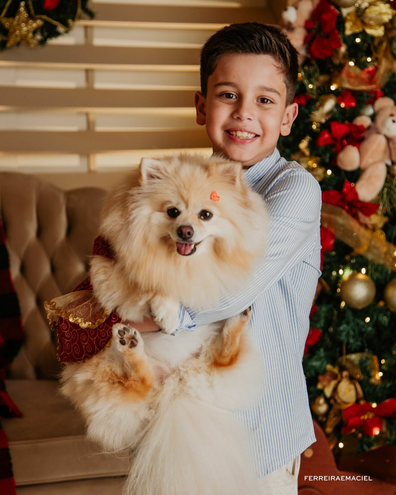 Foto Destinatário Papai Noel - Especial de Natal 2025 - Fotógrafo de estúdio em Araranguá - Cenário temático para fotografar - Araranguá - SC Foto Destinatário Papai Noel - Especial de Natal 2025 - Fotógrafo de estúdio em Araranguá - Cenário temático para fotografar - Araranguá - SC - Imagem 249