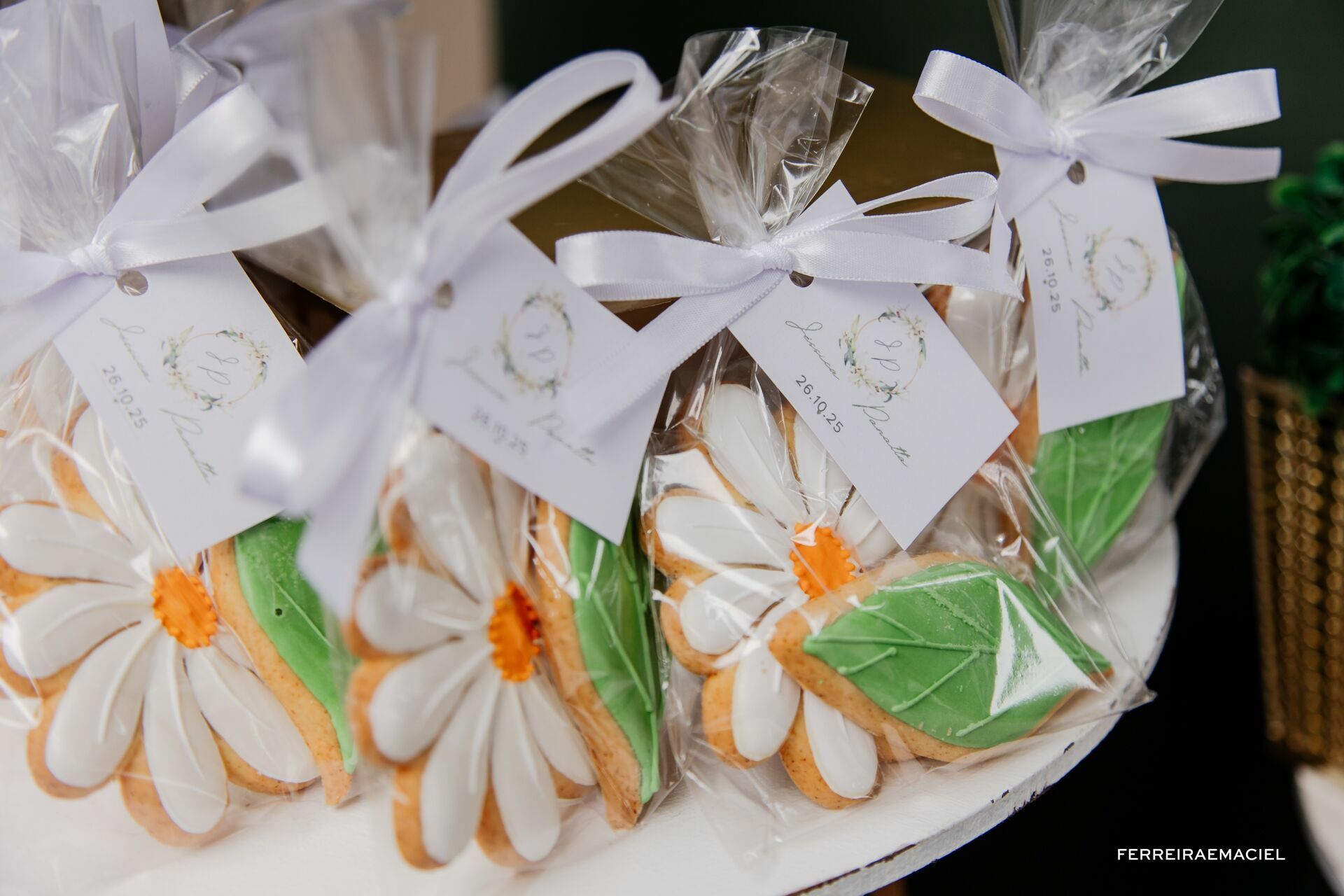 Foto Jéssica Panatta Foto Jéssica Panatta - Imagem 5