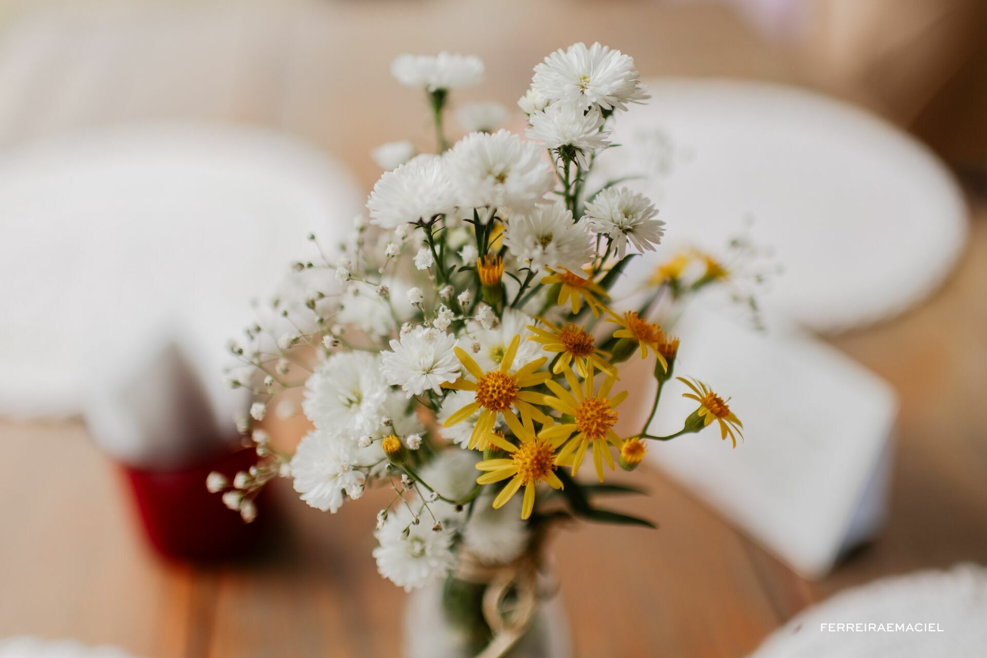 Foto Jéssica Panatta Foto Jéssica Panatta - Imagem 6