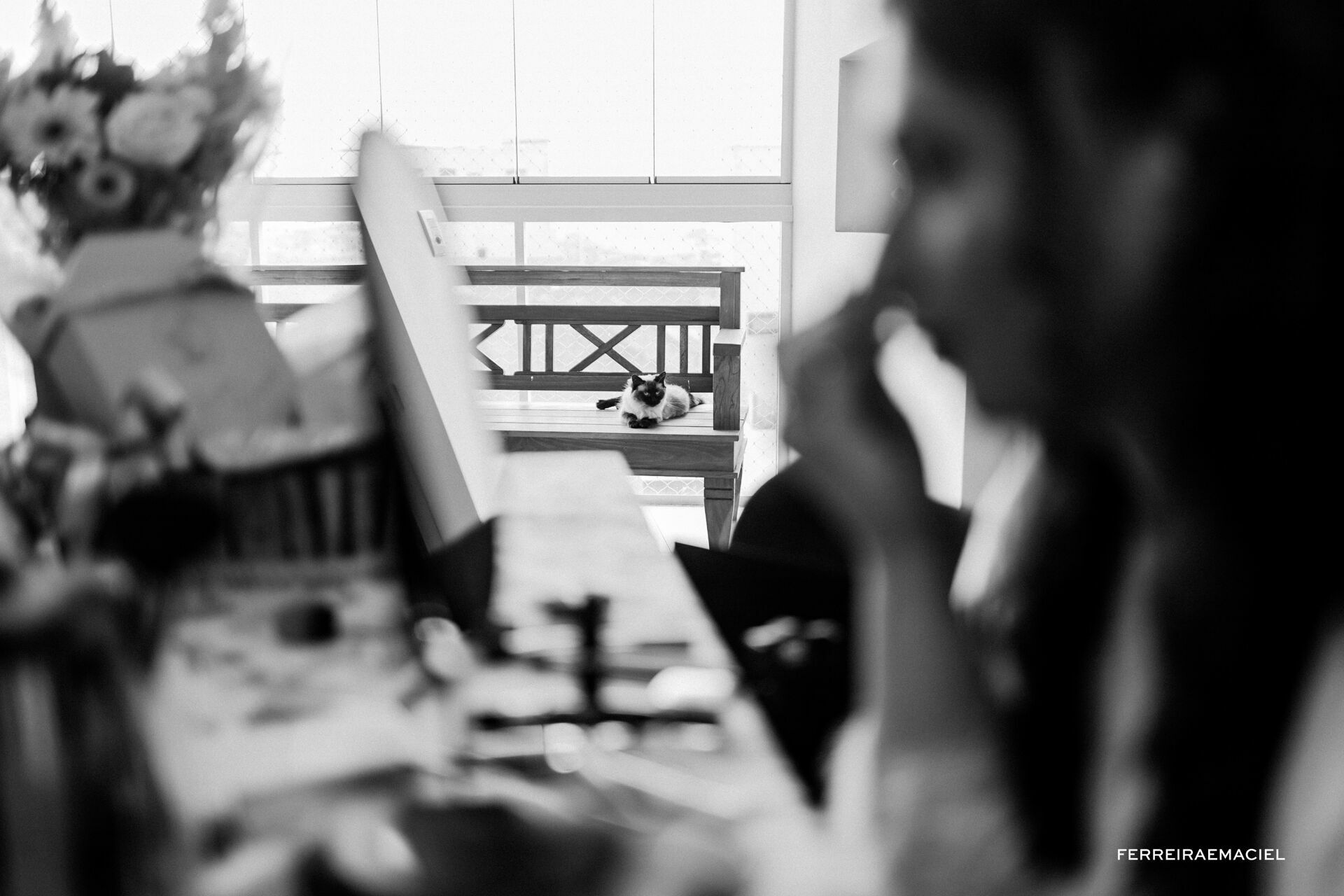 Foto Alexia e Enzo - Imagem 7