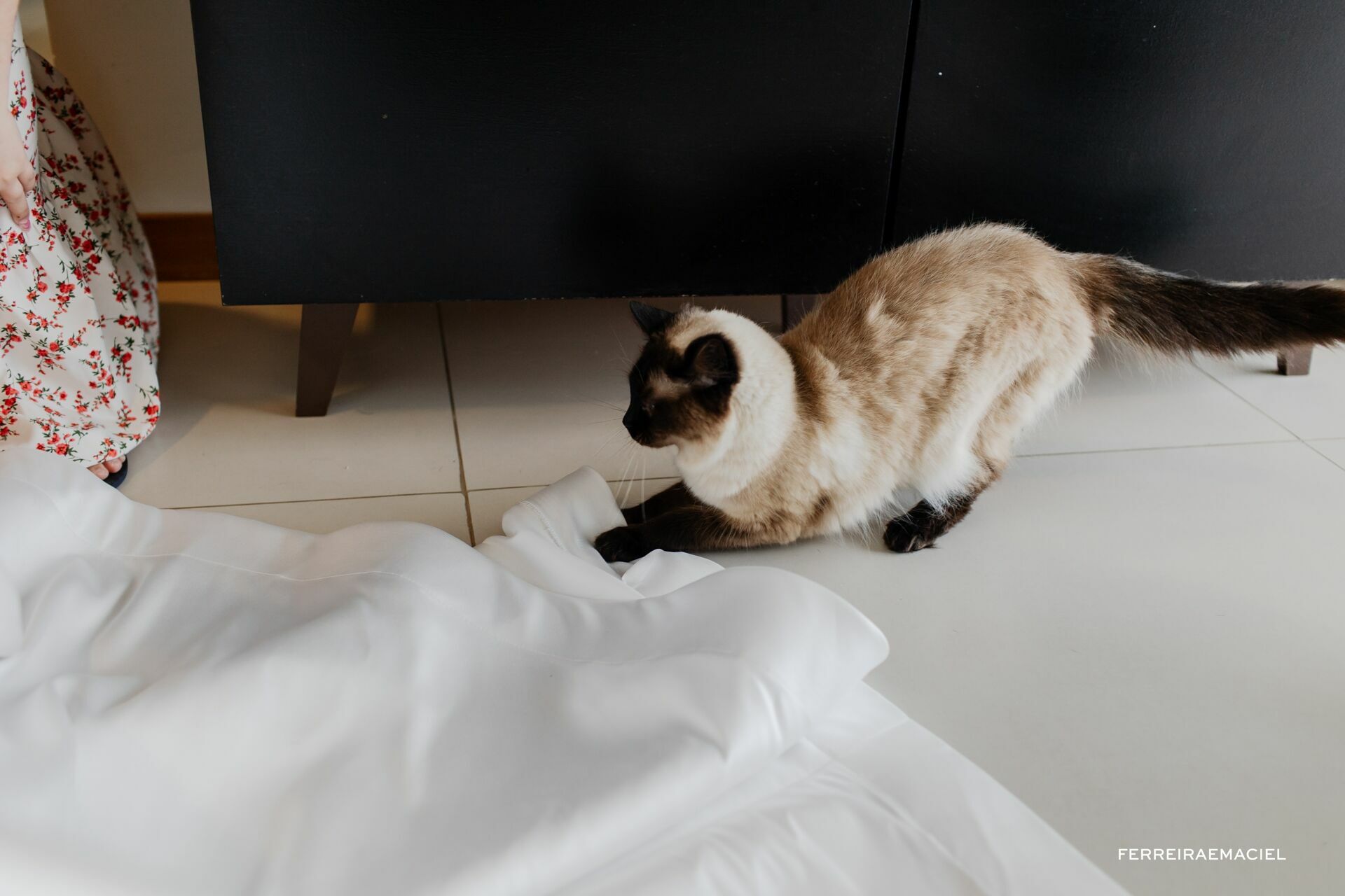 Foto Alexia e Enzo - Imagem 28