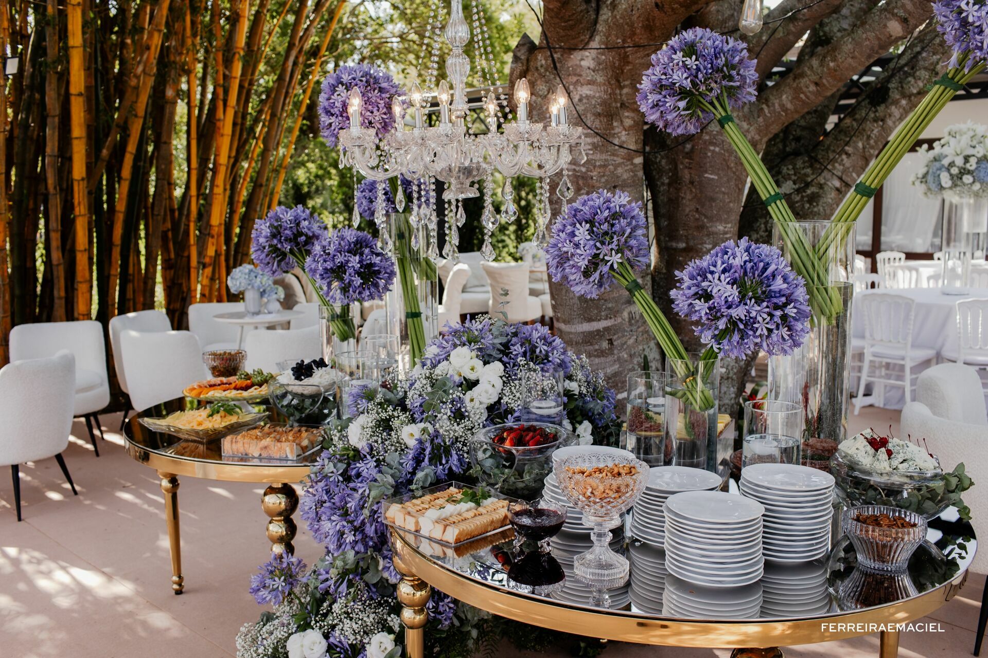 Foto Cuca e Karol Foto Cuca e Karol - Imagem 61