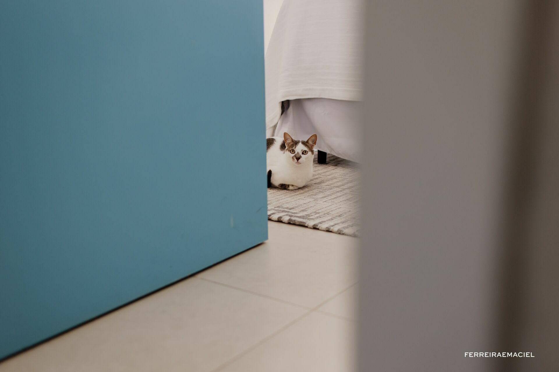 Foto Cuca e Karol Foto Cuca e Karol - Imagem 8