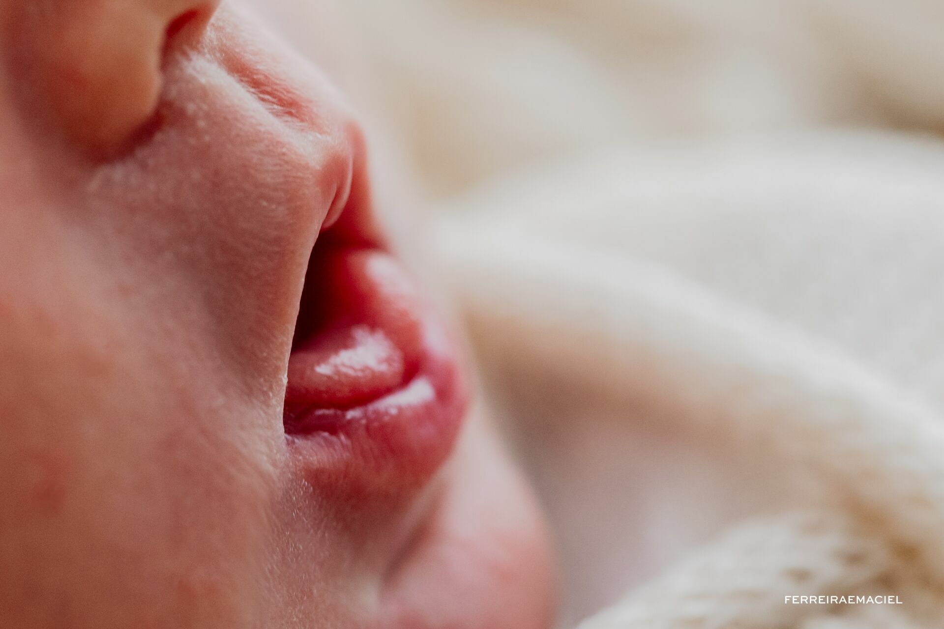 Foto Ensaio Newborn em Estúdio – Otto – Filho de Mariana Nuemberg - Fotografia de Recém-Nascido - Araranguá - Criciúma - Sombrio - Turvo - Ermo – SC Foto Ensaio Newborn em Estúdio – Otto – Filho de Mariana Nuemberg - Fotografia de Recém-Nascido - Araranguá - Criciúma - Sombrio - Turvo - Ermo – SC - Imagem 6