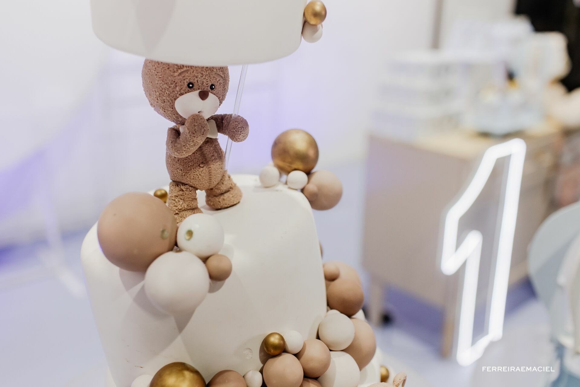 Foto Fotografia de Aniversário Infantil – 1 ano – Bernardo – Contato Eco Parque – Araranguá – SC - Imagem 2