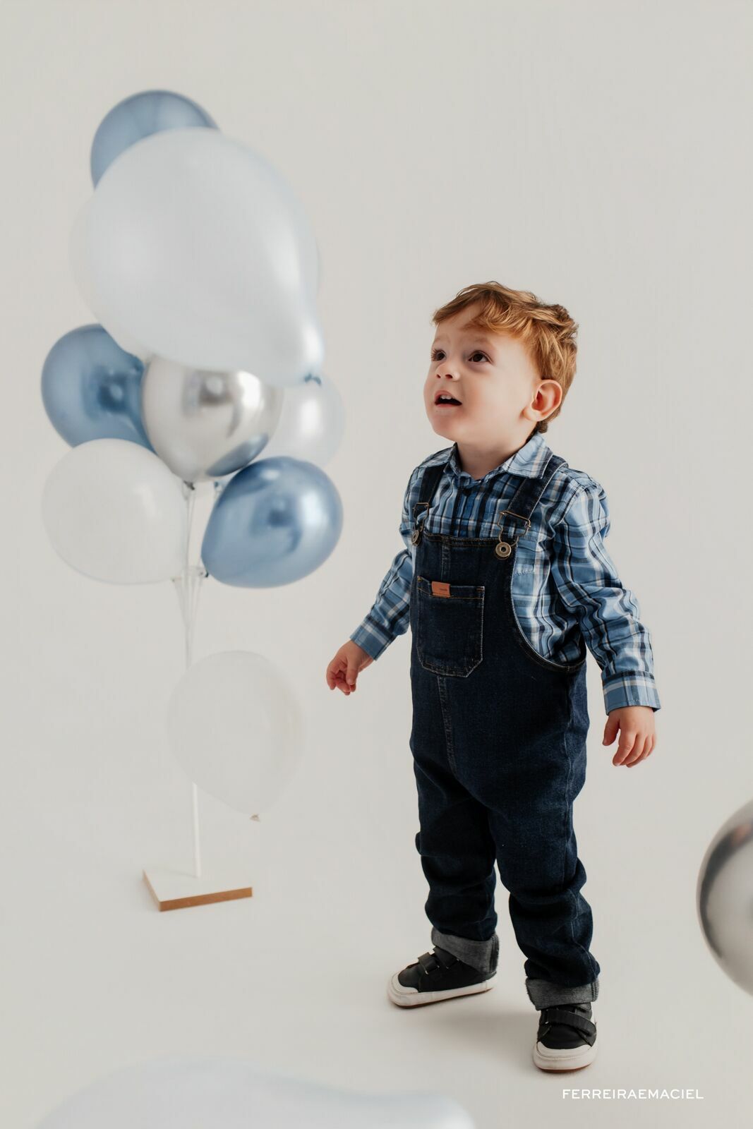 Foto Aniversário Infantil em Estúdio – Daniel – 2 Anos – Fotografia Infantil Profissional – Araranguá SC Foto Aniversário Infantil em Estúdio – Daniel – 2 Anos – Fotografia Infantil Profissional – Araranguá SC - Imagem 11